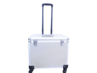Vital Energy Massager Rolling Case (Excluded)